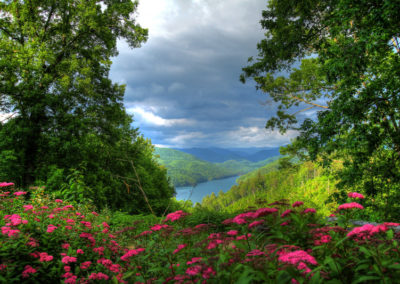 Scenic view of Fontana Lake under a dramatic blue sky, framed by the Great Smoky Mountains and surrounded by pink wildflowers.