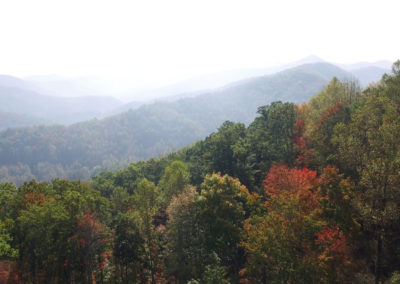 Colorful autumn foliage contrasts with misty mountains