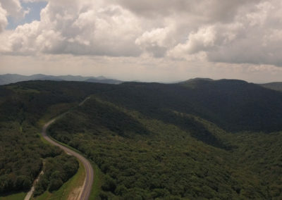 Aerial view of a winding road through a lush green forest