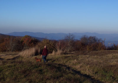 A person in a red plaid shirt stands on a grassy hill with a dog