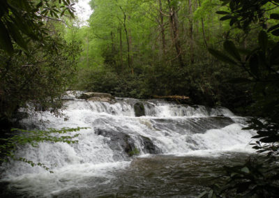 A cascading waterfall tumbles over smooth rocks