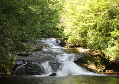 A serene waterfall cascades over rocks, surrounded by lush green trees