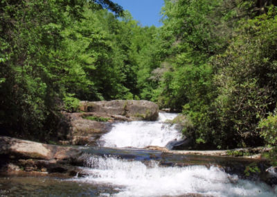 A serene stream cascades over rocks, surrounded by lush green trees