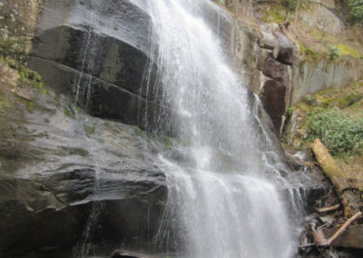 A cascading waterfall flows over rocky cliffs, surrounded by lush greenery