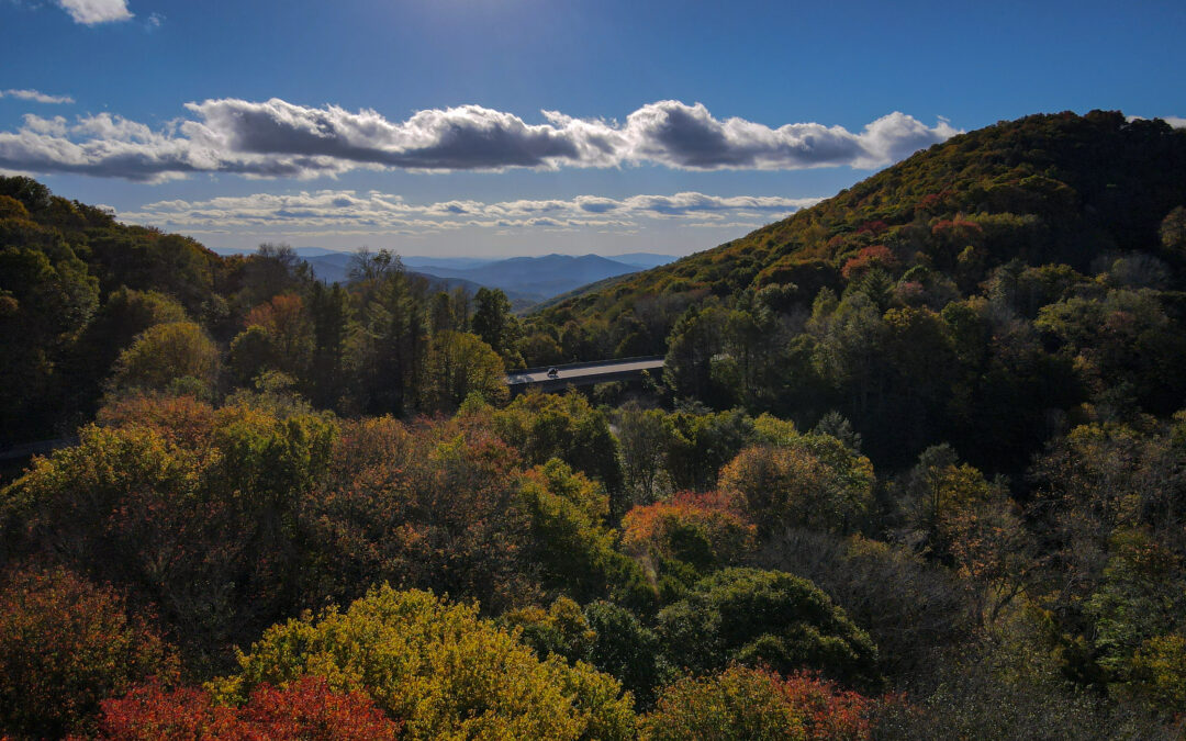 Picture of Autumn Leaves in many colors on the tree with the Cherohala Skyway road in the background and motorcycles driving the road with a big, blue sky and scattered white clouds.