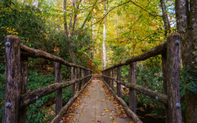 Tips For A Memorable Mountain Thanksgiving