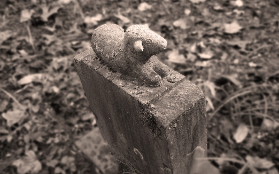 Carved lamb headstone from a Northshore Trail cemetery on Hazel Creek.