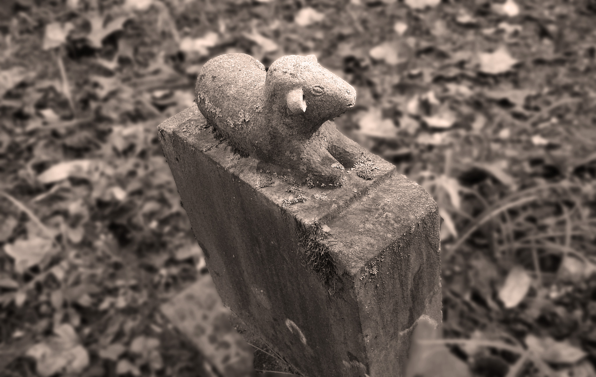 Carved lamb headstone from a Northshore Trail cemetery on Hazel Creek.