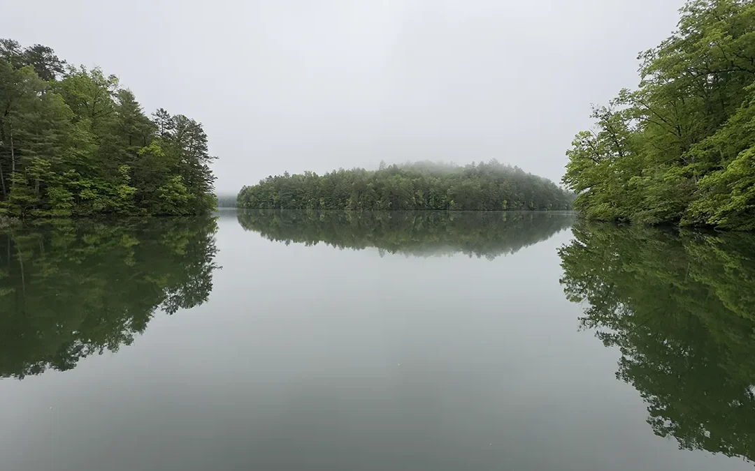 A forested island reflected in the glassy surface of Lake Santeetlah on a still, foggy morning, with low cloud hanging over the treeline.
